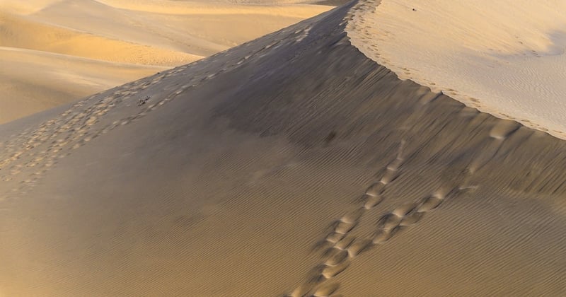dune