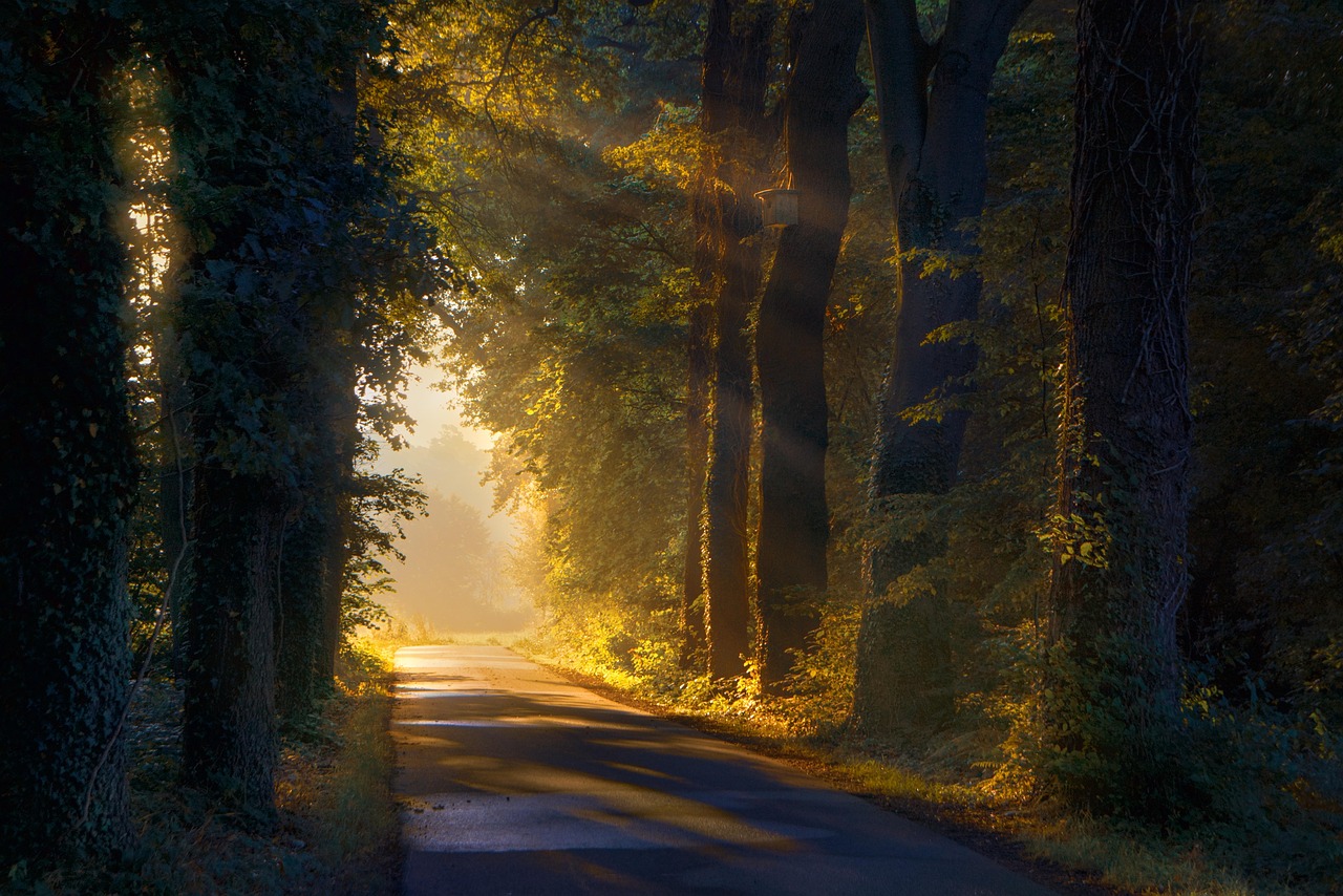 Vivez des expériences insolites : entre nature et aventure en famille