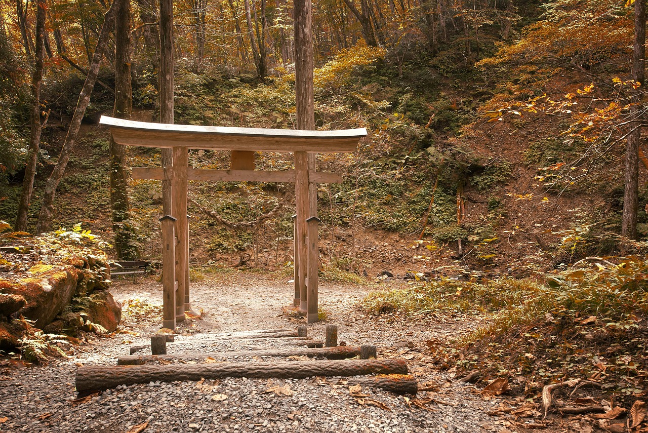 découvrez l'asie, un continent riche en diversité culturelle, paysages à couper le souffle et expériences uniques. explorez les merveilles de ses pays emblématiques, de la cuisine délicieuse aux traditions fascinantes.