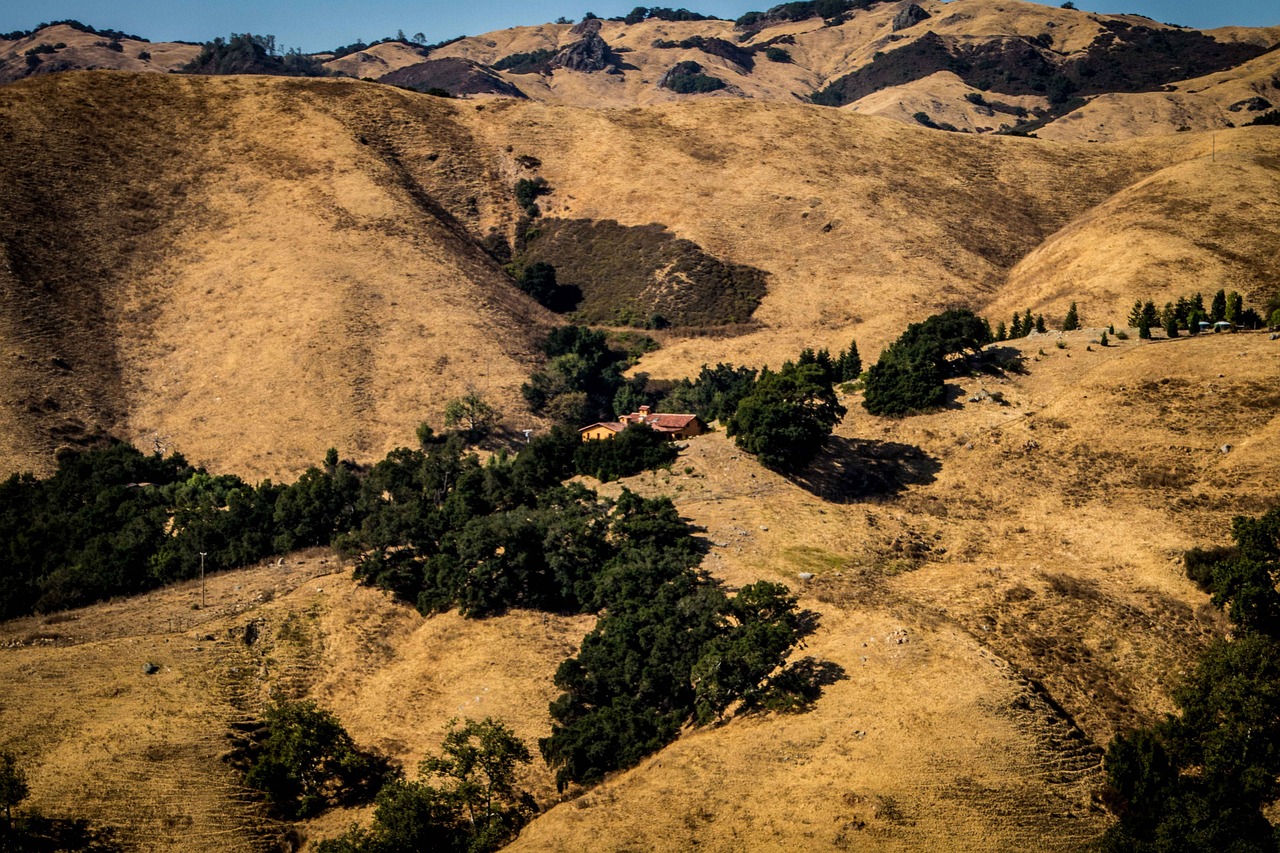 d&eacute;couvrez un road trip inoubliable sur la c&ocirc;te ouest des &eacute;tats-unis, entre plages mythiques, parcs nationaux et villes embl&eacute;matiques.