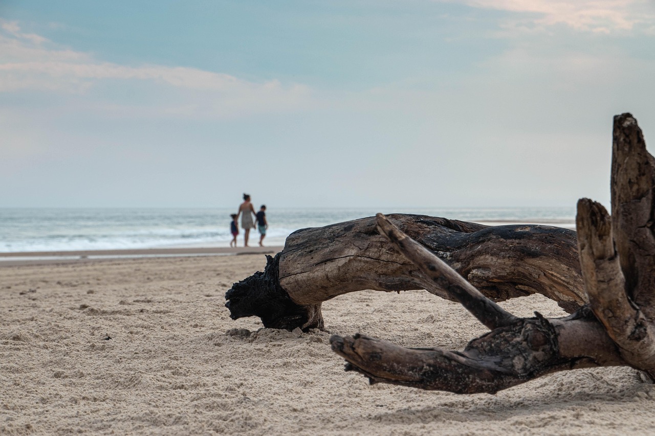 g753b994858f24fb2c3188b05d306086ff3d9fbcd29e4aec8ef7ec8dc467e2dcaaae1a6d373b6f04542528fc580f21cdc5348ebcd580edfbf6ecc629158c5630e 1280